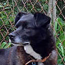 Joseph was adopted in June, 2005